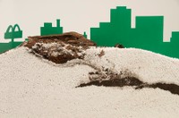 Ants